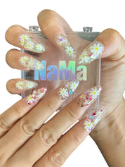Spring Daisy（M.Last One)