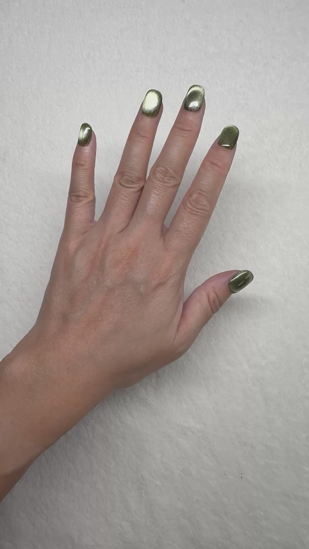 Enchanted Olive Grove